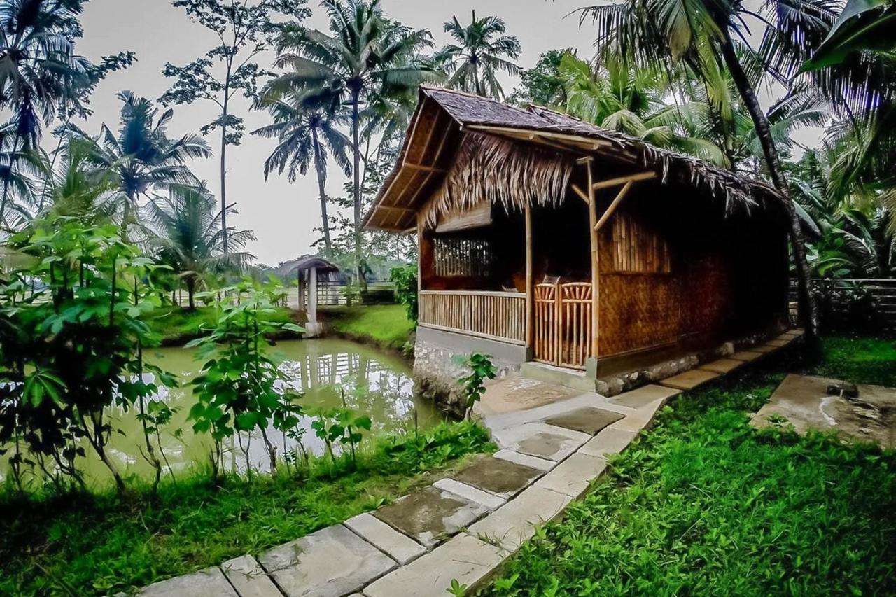 Baleku Bamboo Retreat Pangandaran Exterior foto
